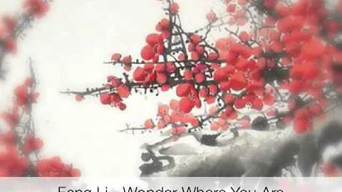 Feng Li - Wonder Where You Are.m4v
