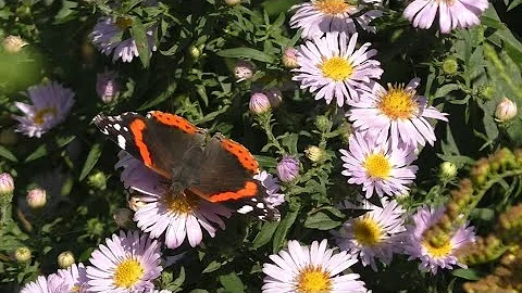 Morning Prayer –Wednesday, 22nd September 2021