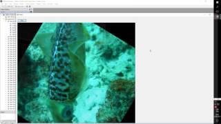 Image processing pipeline: Resize, Gaussian blur, Rotate and Blend