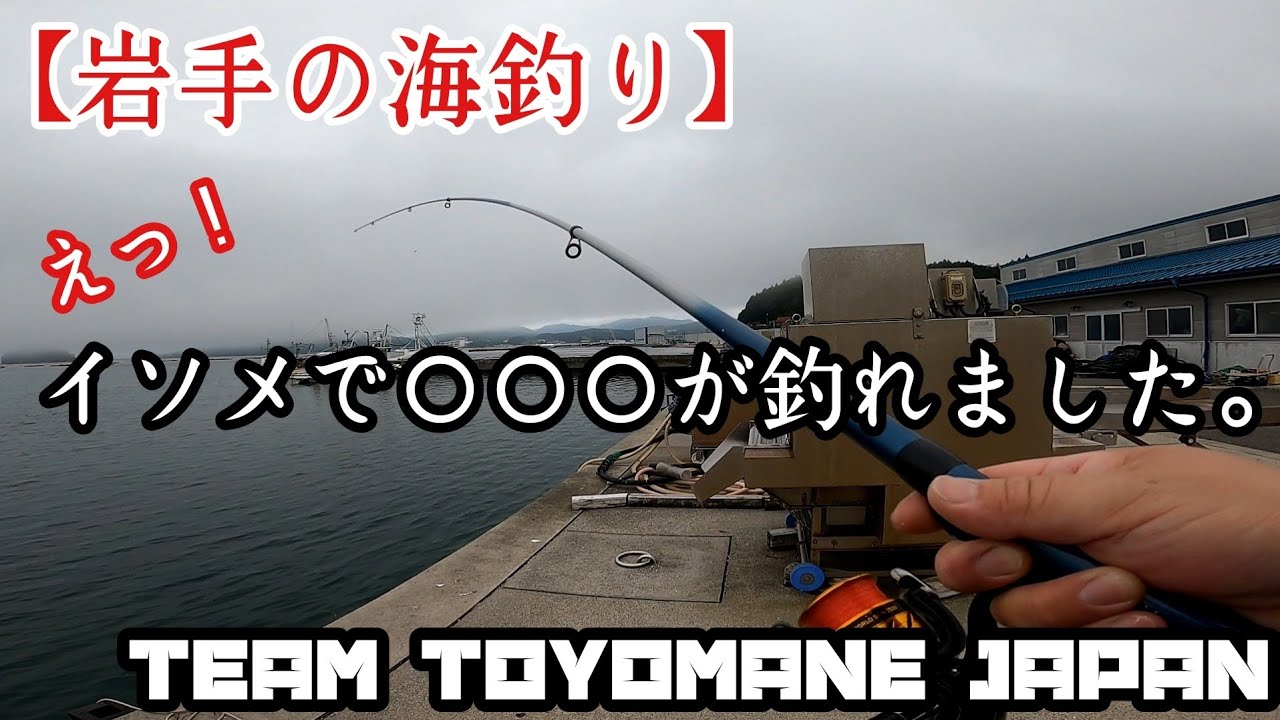 岩手の海釣り ミラクル イソメで が釣れました Youtube