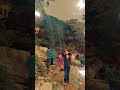 lage mafiya panariya nath #shortvideo #trending #music