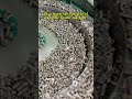 Stainelss Steel drone screw anti-loose bolt open die header machine manufacturer.