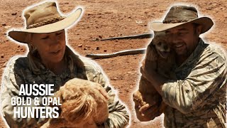 Gold Gypsies Rescue Their Dogs From Venomous Snakes | Aussie Gold Hunters: Surviving The Wilderness
