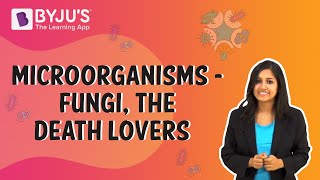 Microorganisms - Fungi, the Death Lovers