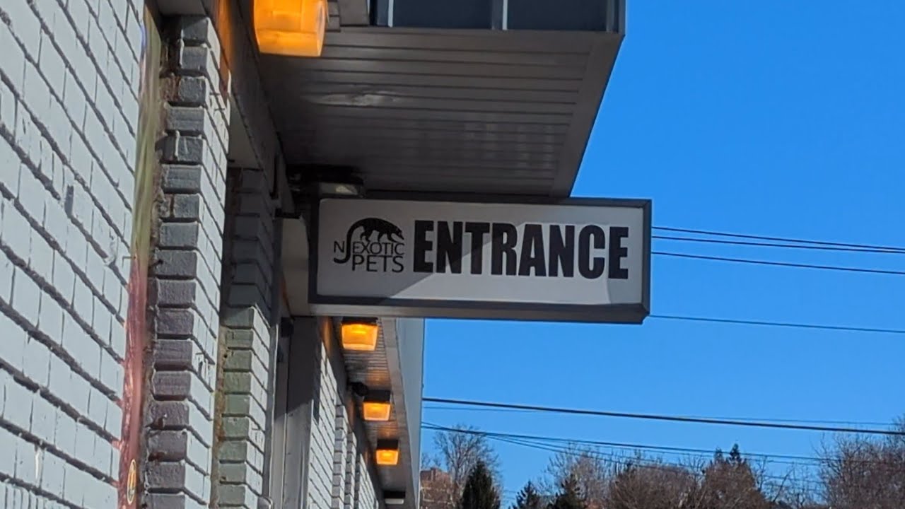 ttw-ep-5-adventure-to-a-new-land-nj-exotic-pets-youtube