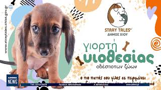 Κεντρικό δελτίο ειδήσεων 05/04/2026 | ΑΛΗΘΕΙΑ TV