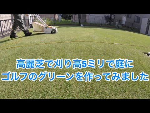 庭に高麗芝でゴルフのグリーンを作ってみました Youtube