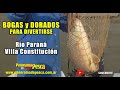 Bogas y Dorados para divertirse en Villa Constitucion. Panorama de Pesca