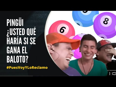 Pingüi ¿Usted qué haría si se gana el Baloto? chistosos nombres