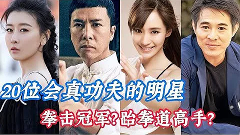 20位会真功夫的明星，周比利世界级拳王，刘涛毛俊杰深藏不露 - 天天要闻
