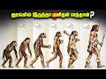      human evolution