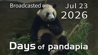 20260723 Broadcast Top Highlights 10