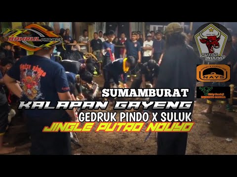 DJ KALAPAN GAYENGG ❗❗ SUMAMBURAT BANG-BANG WETAN  || BANTENGAN PUTRO NDUYO