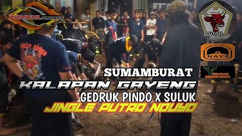 DJ KALAPAN GAYENGG ❗❗ SUMAMBURAT BANG-BANG WETAN  || BANTENGAN PUTRO NDUYO