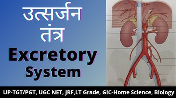 उत्सर्जन तंत्र | Excretory System | UP TGT,PGT,UGC NET,JRF, LT Grade,GIC-Home Science,Biology