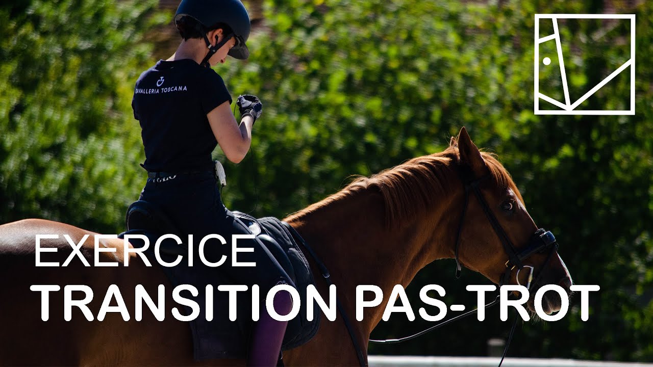 ARRIVER A LA TRANSITION PAS-TROT PARFAITE / SERIE TECHNIQUE #8/