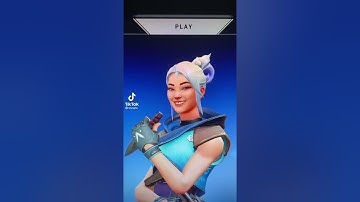 Valorant agents with the similimg filter 😂😂😂😂