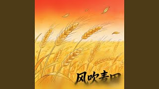 风吹麦田