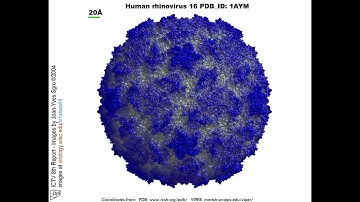 NanoTechnology Assignment