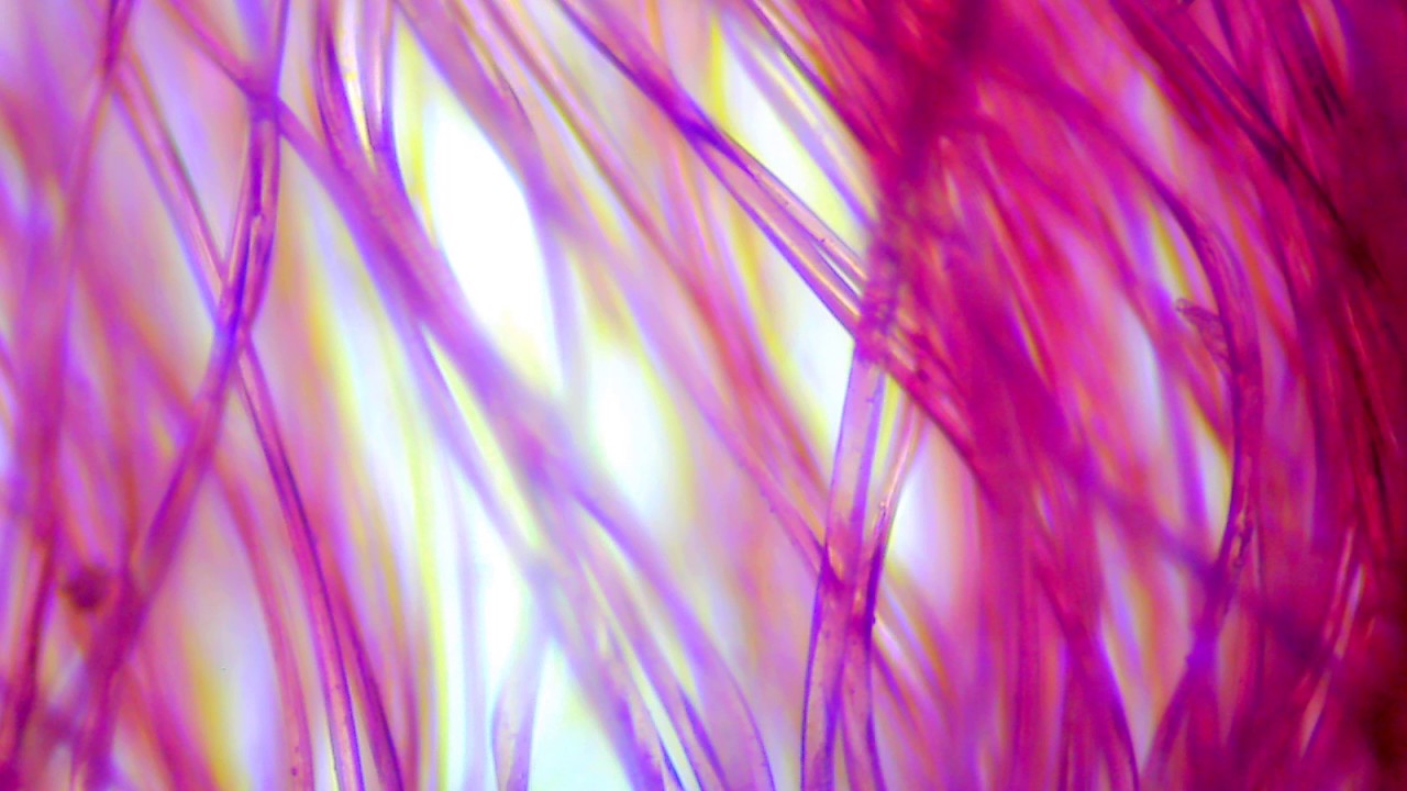 Microfiber strands - under microscope - YouTube