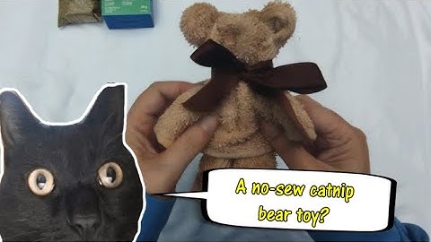 Meowmy Makes - No sew catnip Bear Toy