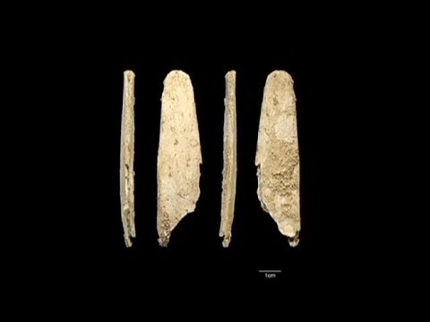 Bone tools discovery explodes myth of unskilled Neanderthals