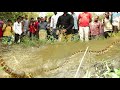 धान की कटाई करते समय, जब दिखा अजगर सांप, देखिए पूरे गांव वालों ने फिर कैसे क्या किया। Python Rescue