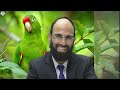 הבעל עם השכל והאשה עם הרגש הרב יצחק הדר הבעל עם השכל והאשה עם הרגש הרב יצחק הדר