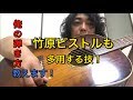【竹原ピストルさんも多用!】ギター弾いてみた!