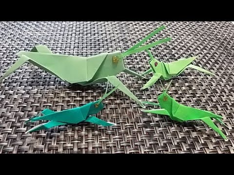 Kimie Gangiの折り紙教室 トノサマバッタ Grasshopper Origami Youtube