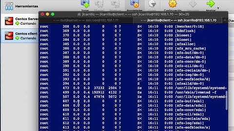 Comando ps - RedHat / Rocky Linux / Alma Linux / Oracle Linux / CentOS