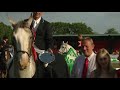 Showjumping - British Masters Speed Class Southview - August 2011