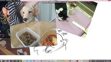 WPF MultiTouch Sample