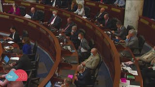 Day 1 of Idaho's special session filled with lots of emotion, drama