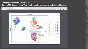 SST05-V: Visualization and Exploration of... - Nils Gehlenborg - Special Sessions - ISMB 2020