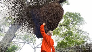 he grabbed a WASP NEST...