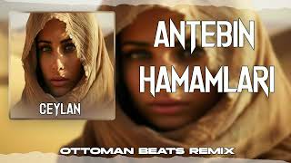 Ceylan - Antebin Hamamları Tiktok Deep House Remix Resimi