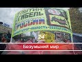 Безумный мир. Как русский народ восстает против Путина и что безумного сделали в Кремле