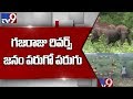 Elephants trample crops, scare people in Chittoor
