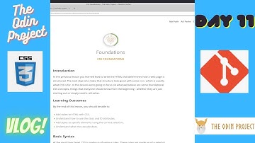 Unleash Style: The Odin Project CSS Intro