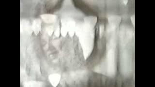 Download lagu Sarina Kay - Wishing on the same star