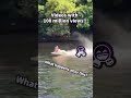 This video is a popular video in the world. #fyp #freefire #funny #popular