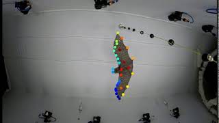 Bat Flight Landmark Tracking Deep Learning Example 1