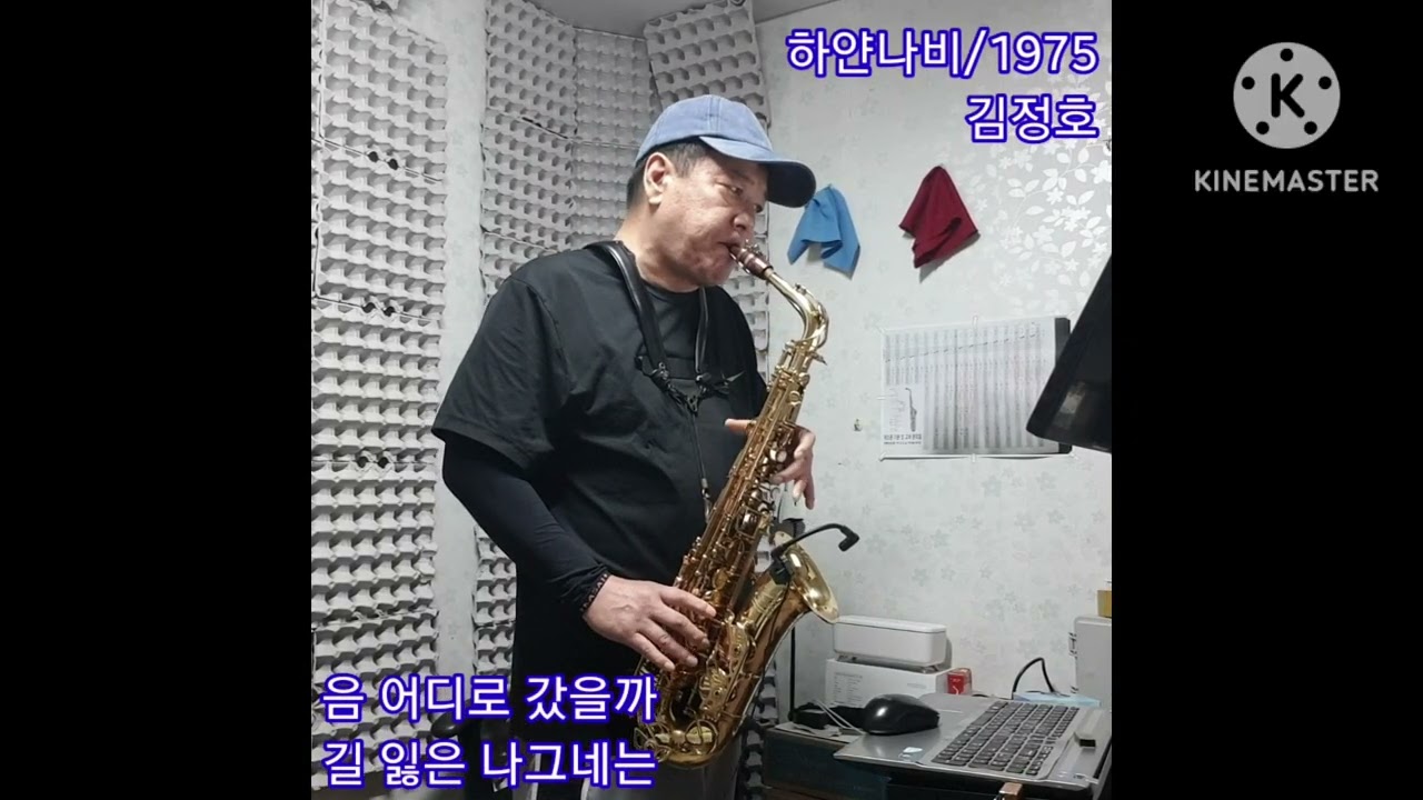 하얀나비    by 김정호