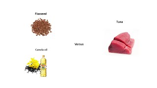 Omega-3 – A type of fat that oxidizes easily