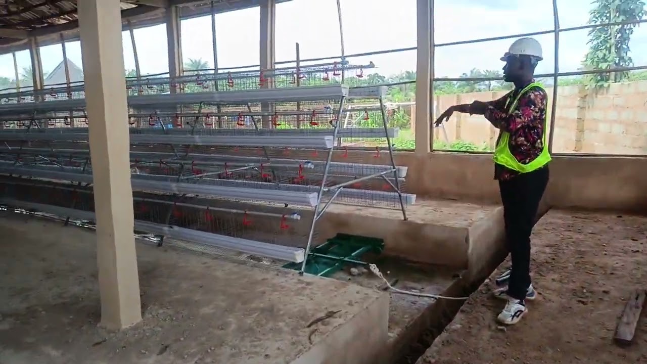 Poultry Cage Fabrication For Chicken Farming