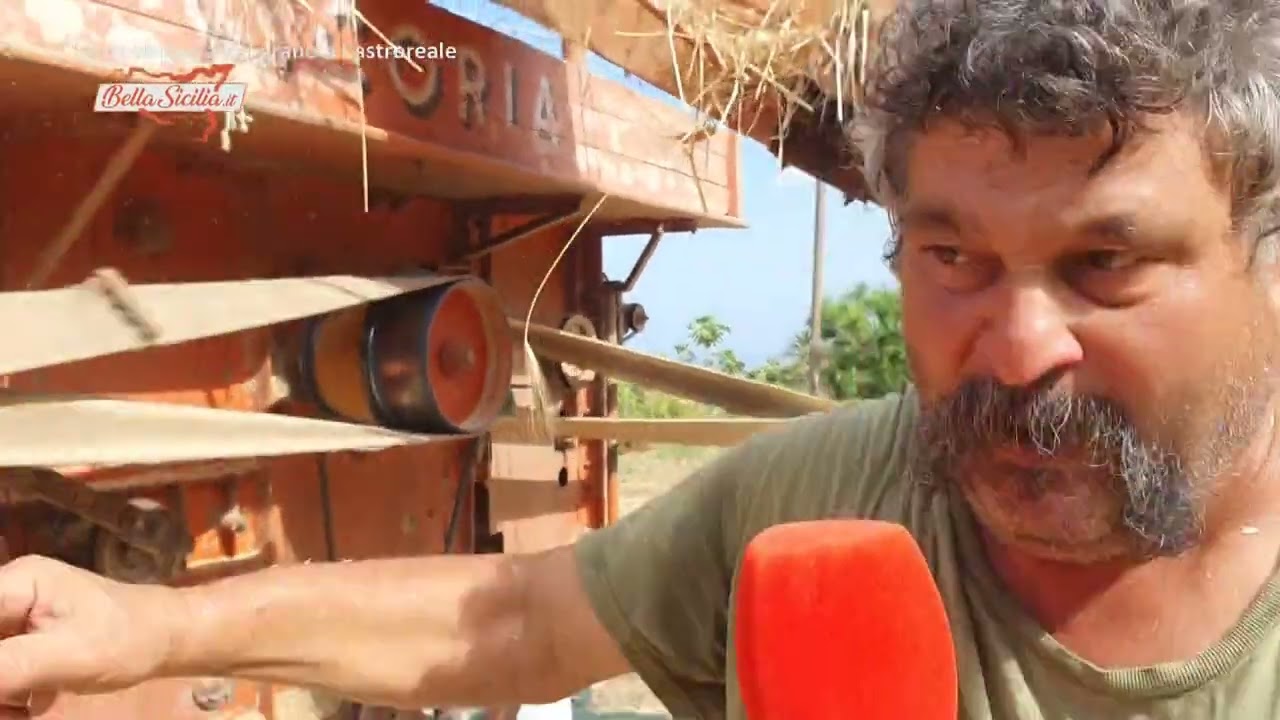 La trebbiatura del grano come una volta