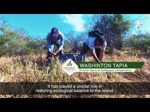 The Islands  Galápagos Conservancy