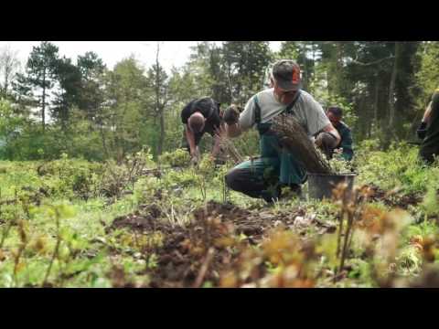 Videó: Mi a szociális erdőgazdálkodás három célja?