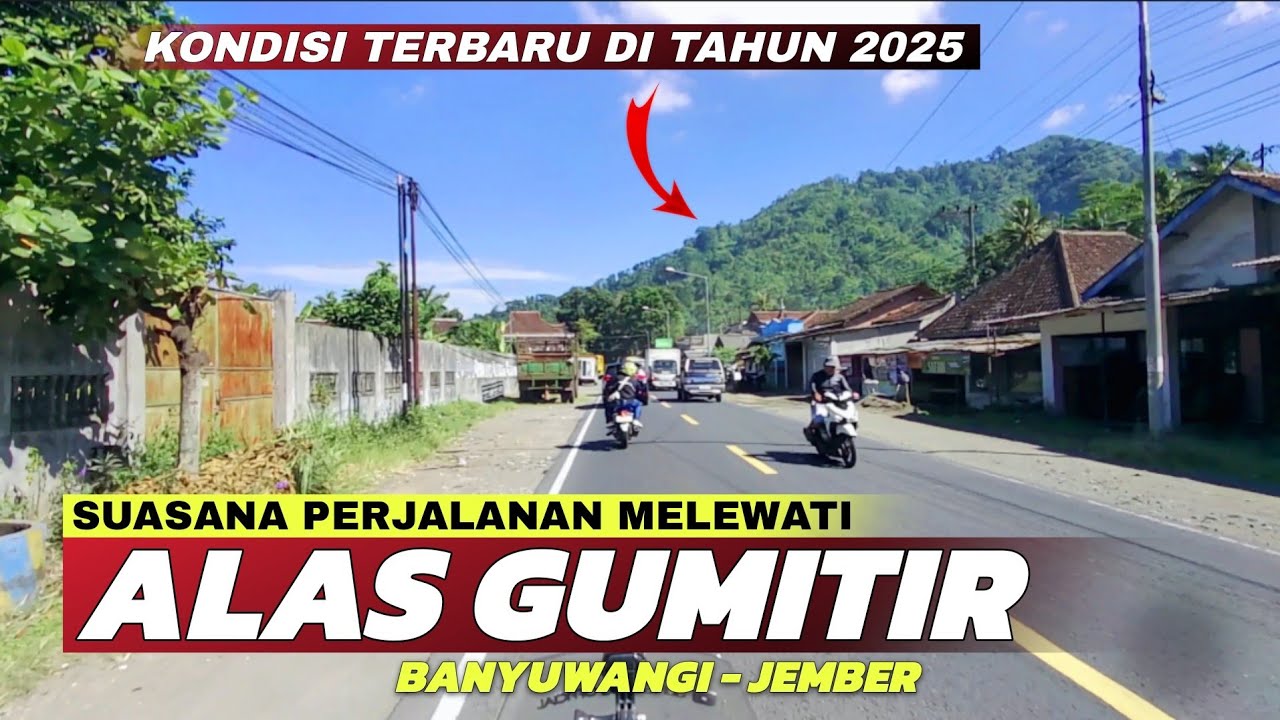 Kondisi Jalur Alas Gumitir Terbaru! Melihat Perkembangan Jalur Alas Gumitir Banyuwangi Terbaru 2025